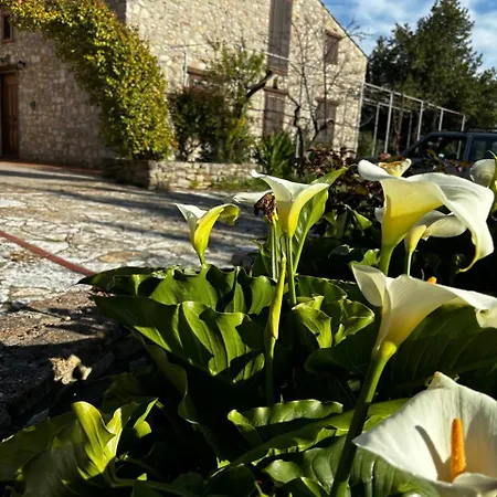 Farm stay Santa Venera Polizzi Generosa